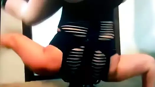 Baş aşağı kedi poppin