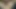 Tam çıplak desi tarzı sikiş videosu
