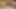 Afrikalı lezbiyen, solo, işeme, mastürbasyon, vibratör dildo, göt deliğine göt tıkacı, büyük göt, büyük doğal memeler