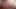 Vdxh21