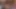 abanoz bir piliç tarafından sıcak oral - pov