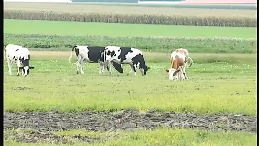 Tombul anneanne hevesle berbat sert genç musluklar