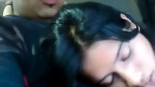 desi kız handob içinde araba