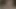 KEDİ yeme lanet ve bazı strapon Siktir et