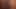 Küçük kıçlı mocha skinned civciv alır büyük uzun siyah horoz