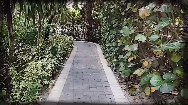 Pablon3grobar - my life vol. 1 döl hayatımızın macerası üzerinde bizi takip et