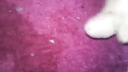 xxx