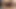 Web kamerası modeli aldatan latin orta yaşlı seksi kadın yakın çekim: parmaklar amcık ve göt + kadın boşalmasına elektrikli dildo sikişi görünür