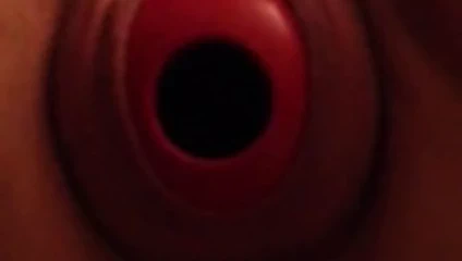 Kong oyuncak içinde kedi 1