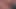 küçük at kuyruklu sarışın fotoğraf çekimi