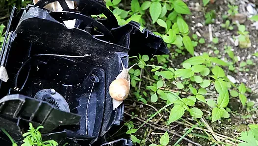 Büyük memeli azgın orta yaşlı seksi kadın - web kamerası kızları seks istiyor