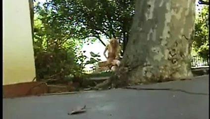 Beyaz çorap seksi sarışın alır kıçını bir şezlong üzerinde gergin