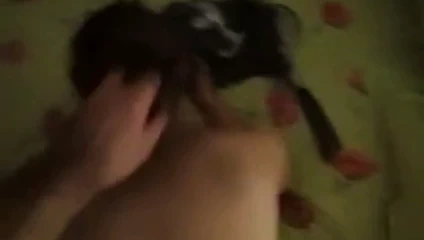 Ca glisse chez alice