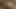 Büyükbaba inme ile yapay penis üzerinde web kamerası