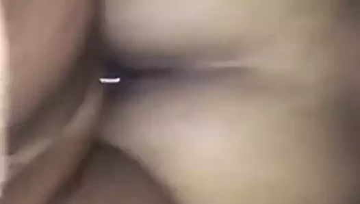 Amanda maximo shemale 4