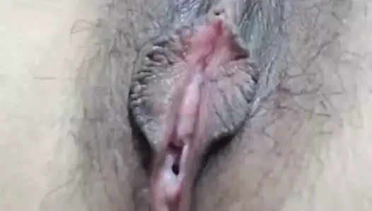 Yakın çekim traş sıkı kedi oyun