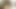 Üvey annemi kanepede yakaladım büyük götünü değil eteğini kaldırmasına izin veriyor ve benden onu sikmemi istiyor