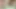 Büyük götlü porno videoları. Canavar yarak sikişi - siyah yarak ve sıkı genç amcık