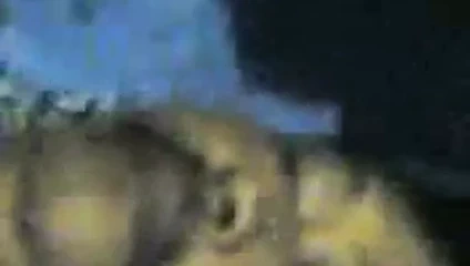 Endonezya eşcinsel amatör