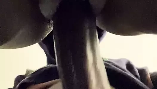 Morebucks757 çalış ile kedi itibaren arka