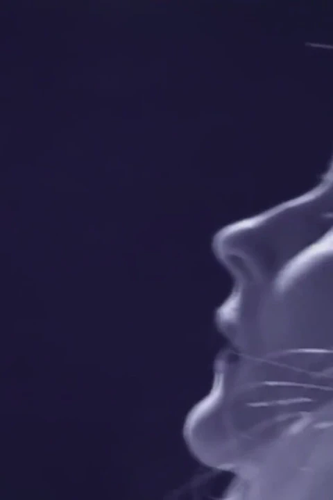 Sürtük sarışın evli kadın kocasının arkadaşı tarafından götünü çifte siktiriyor