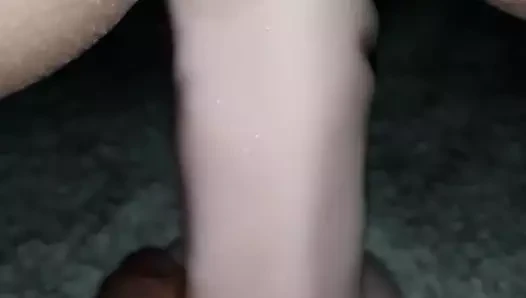 kedi içinde 10 inç