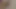 desiporn