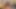 Latino twink yakalandı çalma önce eyersiz ve cumshot