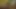 Boy riding dildo in the forest until he cums