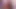 Sexy chat that gets personal fast. girl rubs wet pussy, Paypig, shapely legs!