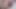 Big beauty fat ass need big beauty fat cock