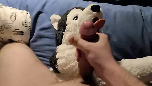 husky peluş üzerinde cumming