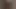 My Wife's Younger Sister Asks Me to Fuck Her
