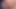 Inky pinky piny puu