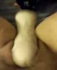 Sawsall onu fışkırtma yapar