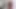 İskoç Rose Skies First Bg