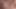 Eurocreme.com - eşcinsel ibneler pornoya bayılıyor