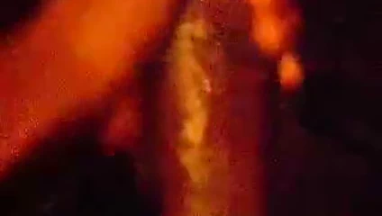 Büyük yaraklı otobüste çıldırıyor