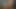 teen içinde bir bikini verir bir tatlı oral seks