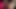 Sarışın ve esmer yatakta şehvetli yalama seansı yapıyor