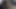 4k kızgın köpek yavrusu havlıyor ve tüm odayı kokluyor