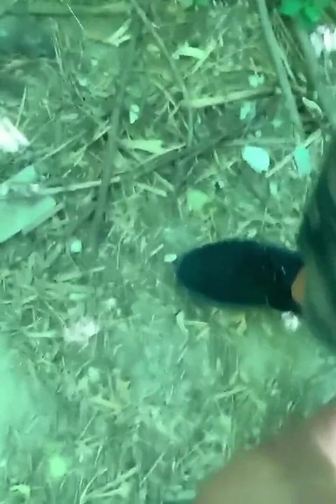 Amatör genç kız büyük boşalma parkı