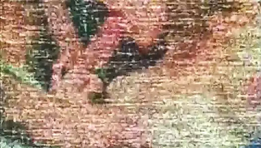 Showgirl süper yıldızlar 14 - 1982