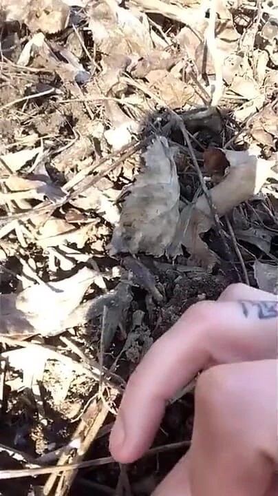 Yerden kendi dölüne dokunuyor ve tadılıyor