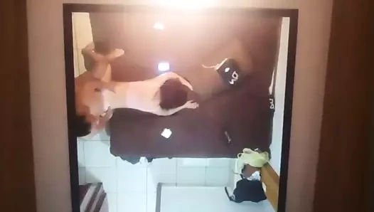 Abierta de piernas sobre la cama de perrito me surten