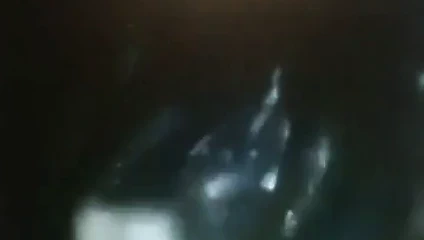 Senegalli var bir gerçek ıslak kedi