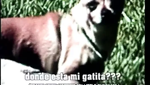 Kenya'dan tutkuyla!!!- vol. #09