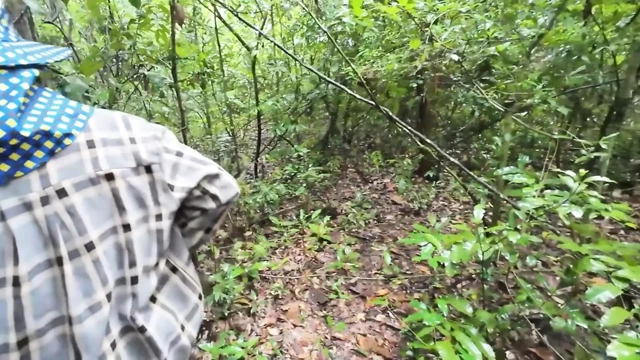 Thai girls walking and talking and picking mushrooms in the forest, secretly showing in the deep forest Clear Thai voice