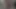 Büyük parlak yaraklı yarak