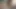 Dövmeli lezbiyen arkadaşlar makaslamadan zevk alıyor